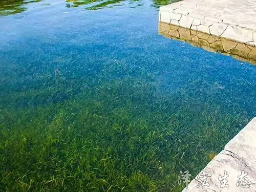 深圳某項(xiàng)目